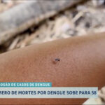 sobe-para-58-o-numero-de-mortes-por-dengue-em-sp