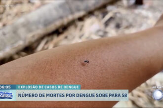 sobe-para-58-o-numero-de-mortes-por-dengue-em-sp