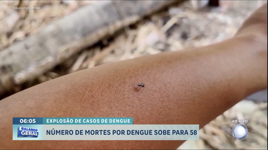 sobe-para-58-o-numero-de-mortes-por-dengue-em-sp