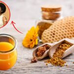 shot-de-propolis:-potencialize-sua-saude-com-essas-receitas-poderosas