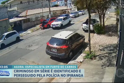 criminoso-especialista-em-furto-de-carros-no-bairro-do-ipiranga-(sp)-e-preso