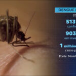 epidemia-de-dengue-ja-matou-mais-de-500-pessoas-no-brasil-em-2024