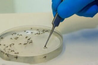 em-menos-de-3-meses,-brasil-supera-numero-de-casos-de-dengue-de-2023