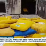 seis-toneladas-de-carnes-improprias-para-consumo-sao-apreendidas-em-goiania