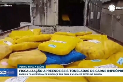 seis-toneladas-de-carnes-improprias-para-consumo-sao-apreendidas-em-goiania