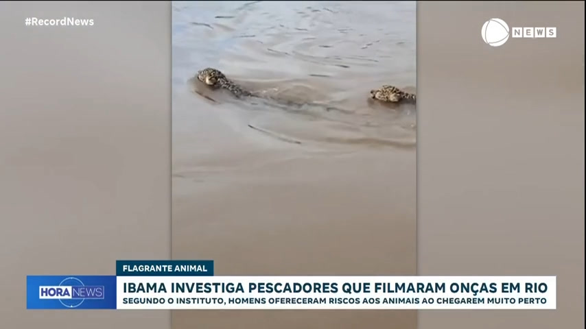 ibama-investiga-pescadores-por-importunarem-oncas-no-rio-araguaia,-em-goias