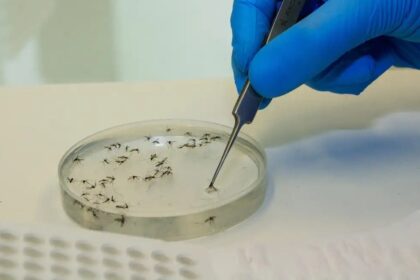 estudo-de-pesquisador-da-fiocruz-aponta-que-dengue-se-espalha-para-o-sul-e-centro-oeste