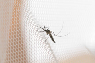 dengue:-pacientes-reclamam-de-demora-no-atendimento-em-upas 