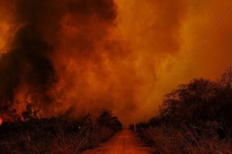 stf-determina-que-governo-apresente-plano-de-combate-a-incendios-no-pantanal-e-na-amazonia