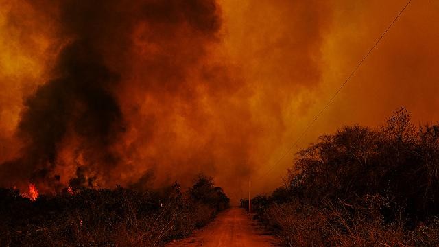 stf-determina-que-governo-apresente-plano-de-combate-a-incendios-no-pantanal-e-na-amazonia