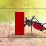 corrego-na-zona-norte-de-sao-paulo-vira-foco-de-proliferacao-do-mosquito-da-dengue