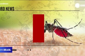 corrego-na-zona-norte-de-sao-paulo-vira-foco-de-proliferacao-do-mosquito-da-dengue