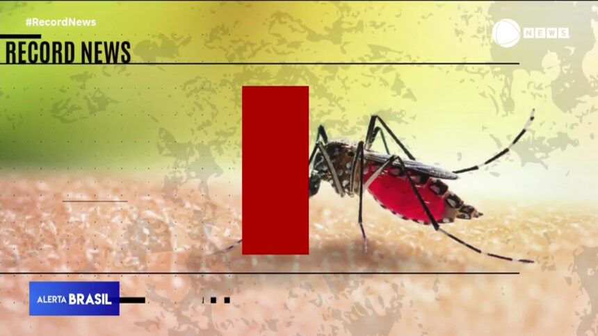 corrego-na-zona-norte-de-sao-paulo-vira-foco-de-proliferacao-do-mosquito-da-dengue