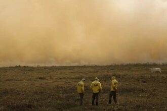 stf-determina-plano-de-combate-a-incendios-no-pantanal-e-na-amazonia