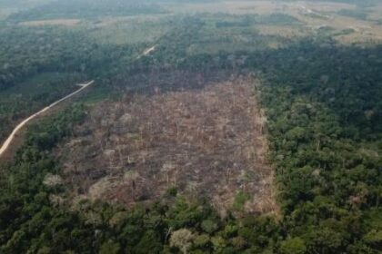 fazendeiro-tera-que-pagar-indenizacao-de-r$-1-milhao-por-desmatamento-ilegal-de-1,6-mil-ha