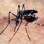 epidemia-de-dengue-supera-a-marca-de-2-milhoes-de-casos-no-brasil