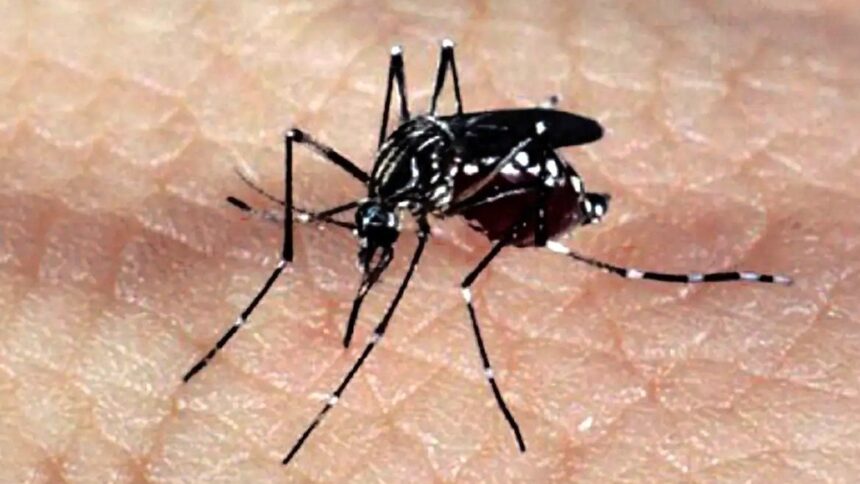 epidemia-de-dengue-supera-a-marca-de-2-milhoes-de-casos-no-brasil