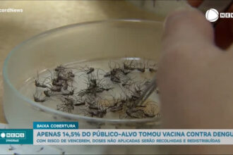 apenas-14,5%-do-publico-alvo-tomou-vacina-contra-a-dengue