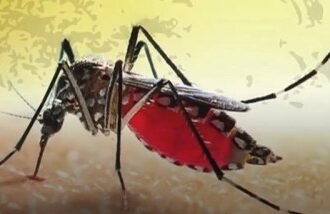 brasil-registra-mais-de-220-mil-casos-e-43-mortes-por-dengue-no-fim-de-semana