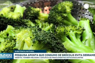 pesquisa-aponta-que-consumo-de-brocolis-evita-derrames