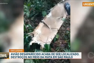 imagens-mostram-destrocos-e-chegada-do-helicoptero-aguia-no-local-da-queda-de-aviao-em-sp