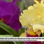 feira-de-orquideas-em-brasilia-atrai-visitantes-de-todo-o-pais