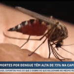 mortes-por-dengue-tem-alta-de-73%-na-cidade-de-sao-paulo