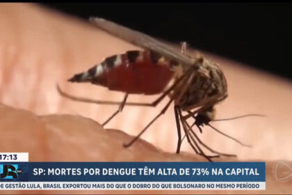 mortes-por-dengue-tem-alta-de-73%-na-cidade-de-sao-paulo