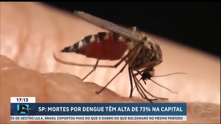 mortes-por-dengue-tem-alta-de-73%-na-cidade-de-sao-paulo