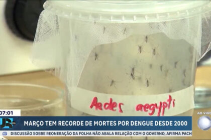 marco-tem-recorde-de-mortes-por-dengue-desde-2000