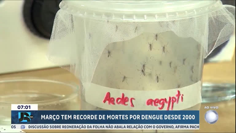 marco-tem-recorde-de-mortes-por-dengue-desde-2000