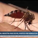 imunizacao-contra-dengue-em-sp-comeca-na-proxima-quinta-(4)