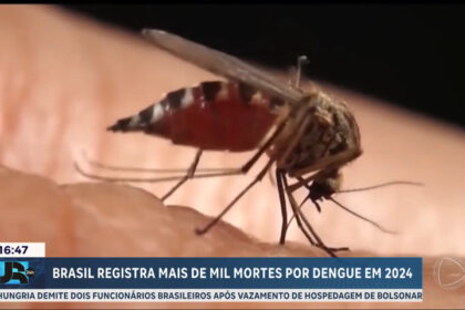 imunizacao-contra-dengue-em-sp-comeca-na-proxima-quinta-(4)