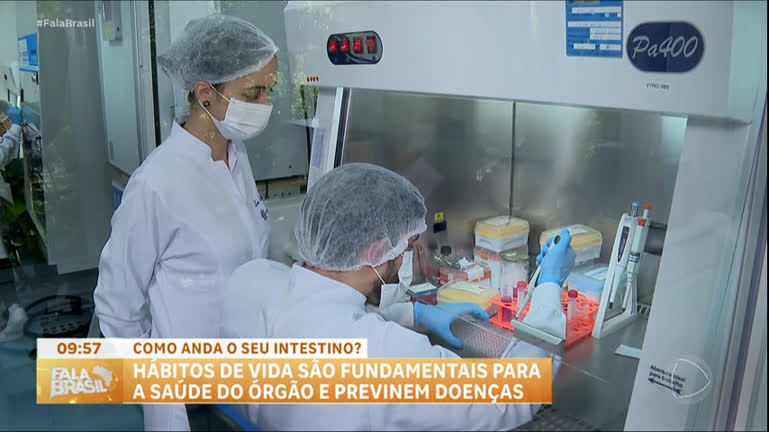 funcionamento-do-intestino-pode-influenciar-em-doencas-como-alzheimer-e-parkinson,-aponta-pesquisa