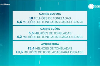 aumento-na-producao-de-carnes-deve-suprir-o-mercado-interno-e-manter-precos-mais-baixos-em-2024