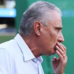 tite-critica-cusparada-de-torcedor-do-palmeiras:-“muito-feio,-cara”;-veja