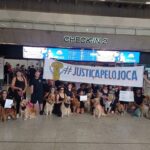 caso-joca:-manifestacoes-em-aeroportos-pedem-justica