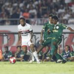 sao-paulo-x-palmeiras:-horario-e-onde-assistir-ao-jogo-do-brasileirao