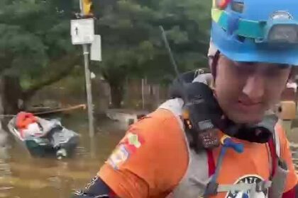 jabuti-e-resgatado-das-enchentes-em-porto-alegre