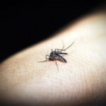 sao-paulo-confirma-mais-12-vitimas-da-dengue-e-alcanca-194-mortes-em-2024