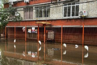 paulo-pimenta-diz-que-solucao-para-moradia-no-rs-e-diferente-para-cada-cidade