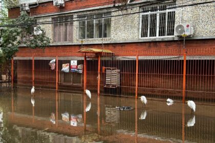 paulo-pimenta-diz-que-solucao-para-moradia-no-rs-e-diferente-para-cada-cidade