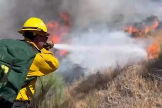 incendio-florestal-na-california-queima-cerca-de-5-mil-hectares