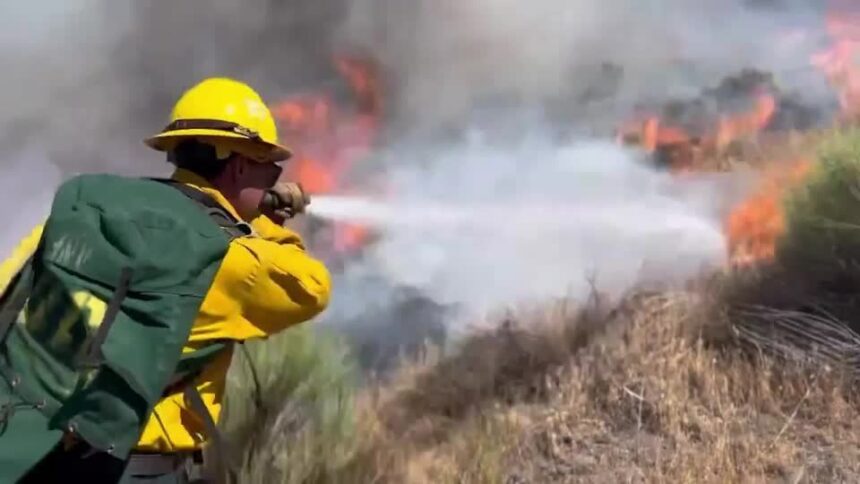 incendio-florestal-na-california-queima-cerca-de-5-mil-hectares