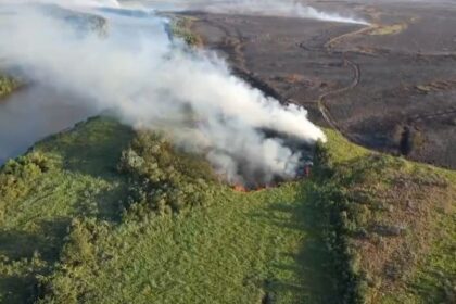 autoridades-ambientais-se-reunem-para-discutir-acoes-contra-os-incendios-no-pantanal