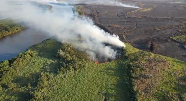 autoridades-ambientais-se-reunem-para-discutir-acoes-contra-os-incendios-no-pantanal