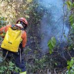 queimadas-no-pantanal-superam-em-quase-40%-as-do-mesmo-periodo-de-2020,-ano-recorde-de-incendios