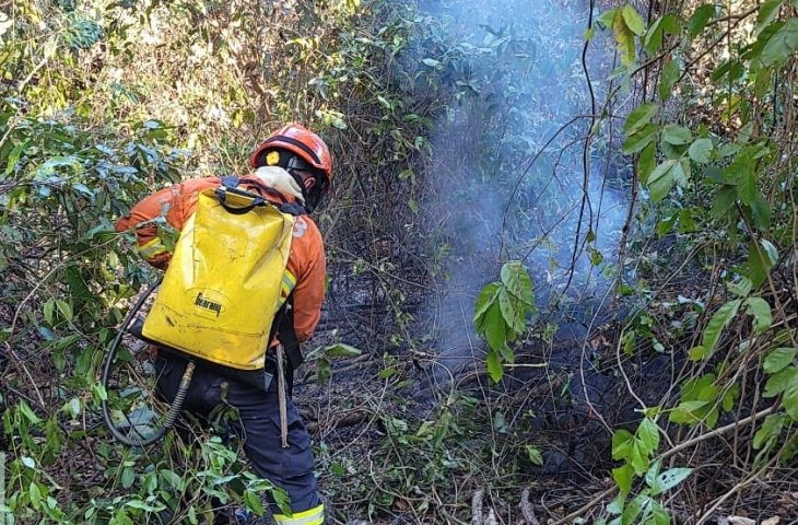 queimadas-no-pantanal-superam-em-quase-40%-as-do-mesmo-periodo-de-2020,-ano-recorde-de-incendios