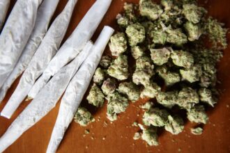 por-que-o-stf-fixou-como-40g-a-quantidade-de-maconha-que-diferencia-usuario-de-traficante?