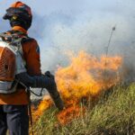 incendios-destroem-mais-de-4,5%-do-bioma-pantanal